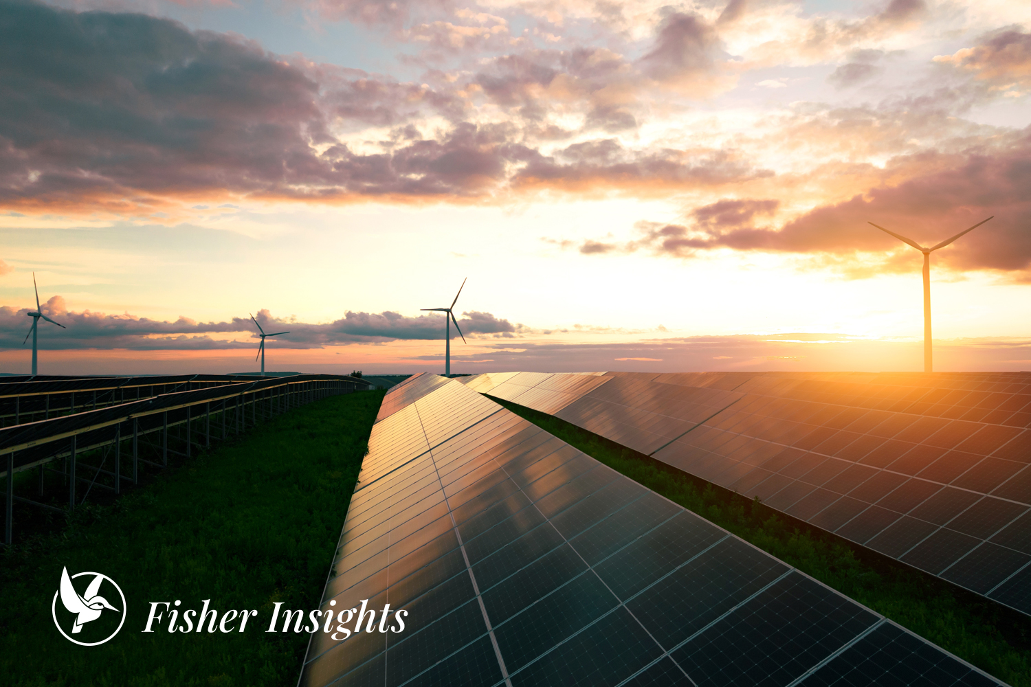 MENA’s Green Boom Isn’t Just About Sustainability—It’s a Talent Race